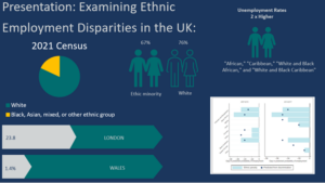 Reflections on Black and Ethnic Minority Experiences in the Built ...